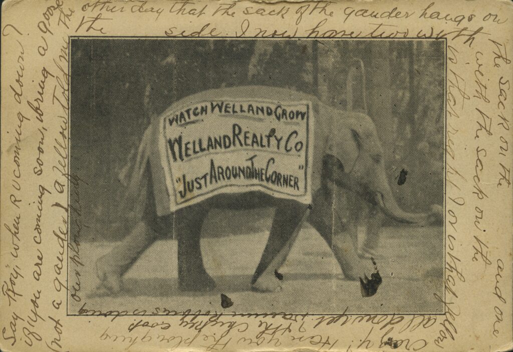 An old postcard with an elephant wearing an advertisement for Welland.