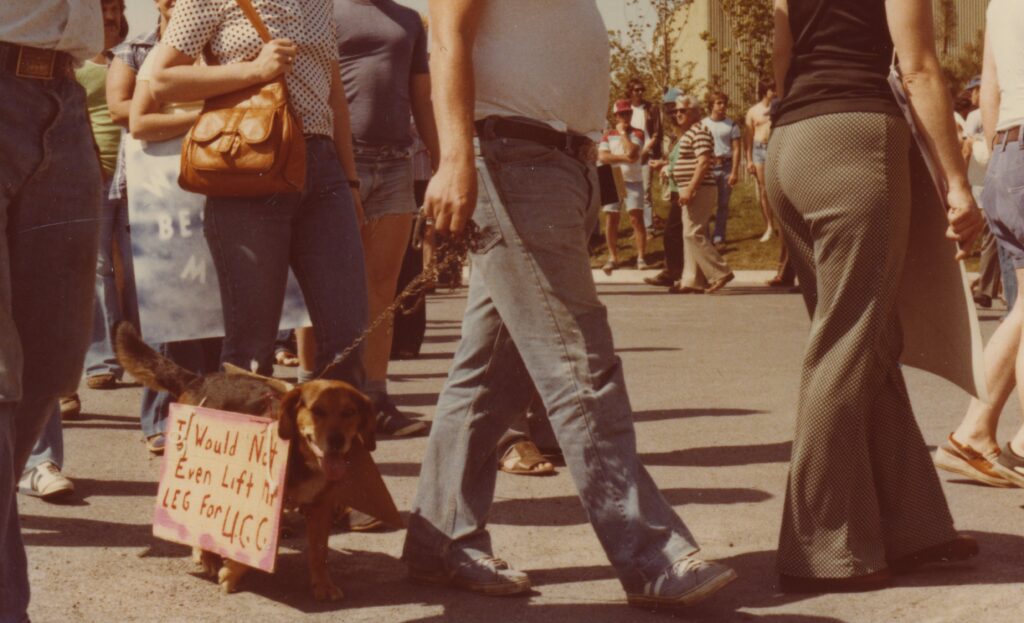 An old colour photograph of the legs of a crowd of people. One of them walks a dog that is wearing a sign.